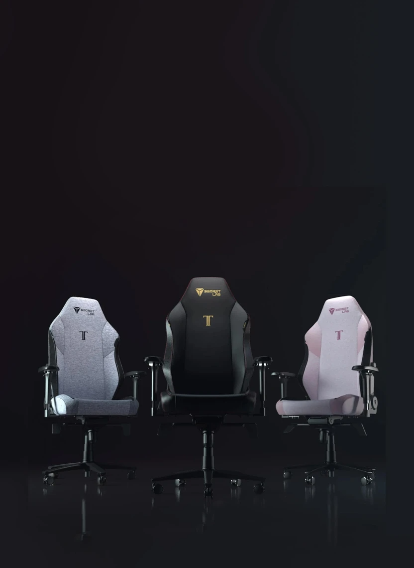 Ergonomic Chairs